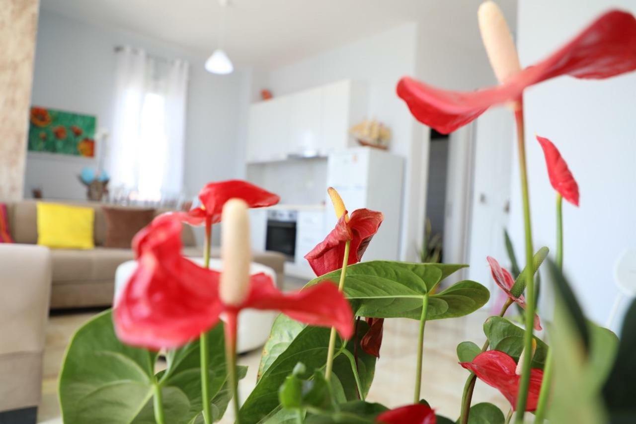 Hakunna Matata Rezidence&Apartments Vlorë Exteriör bild